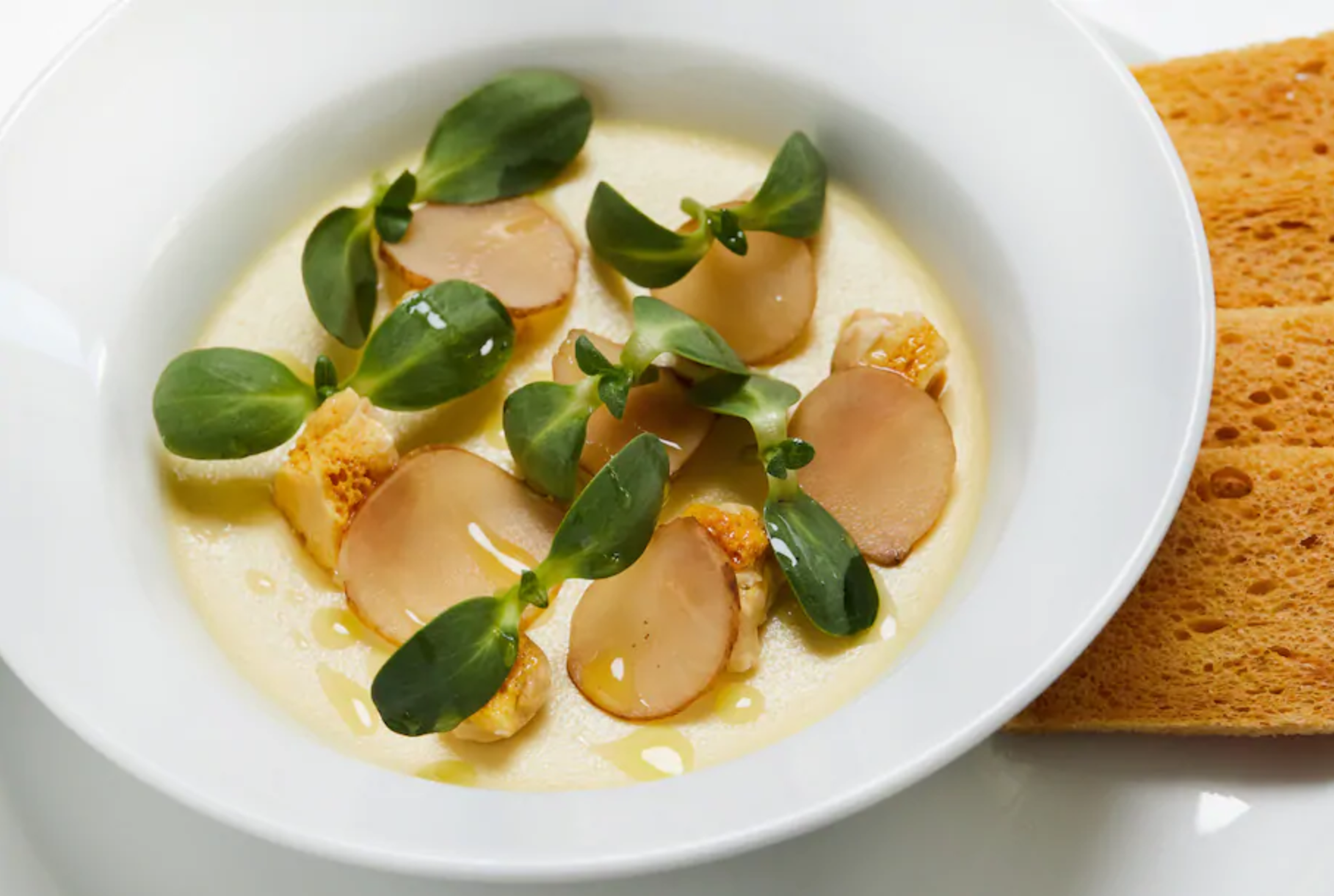 Gourmet dish featuring artfully arranged vegetables and herbs on a white plate, highlighting fine dining elegance.