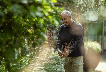 Man in a garden trimming tall grass among greenery in soft natural light.